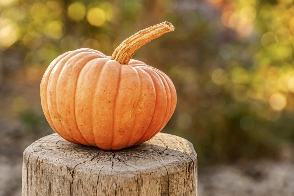 かぼちゃ ハロウィン