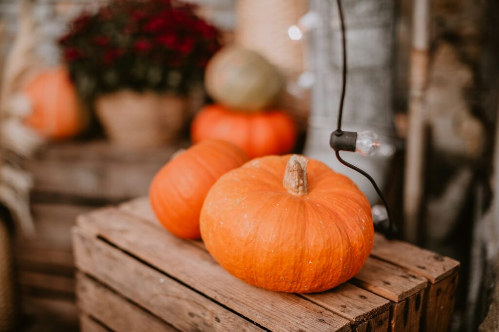 ハロウィン かぼちゃ お着物