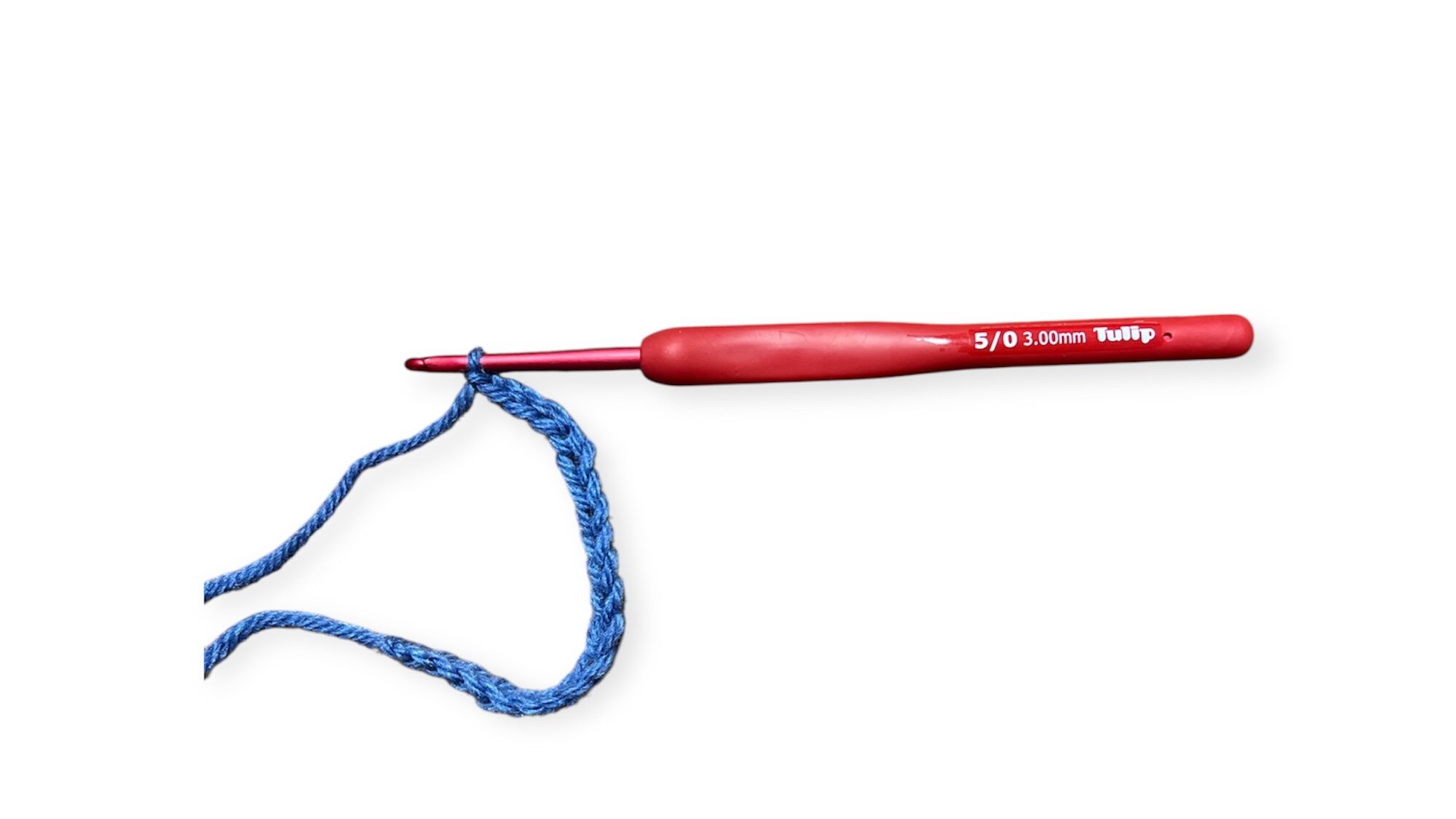 Tulipエティモ レッド